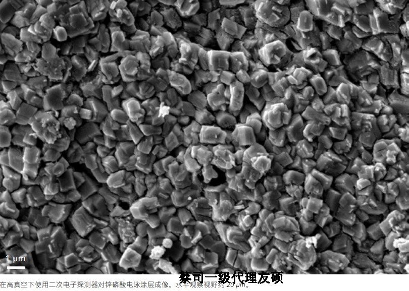 北屯蔡司北屯扫描电镜