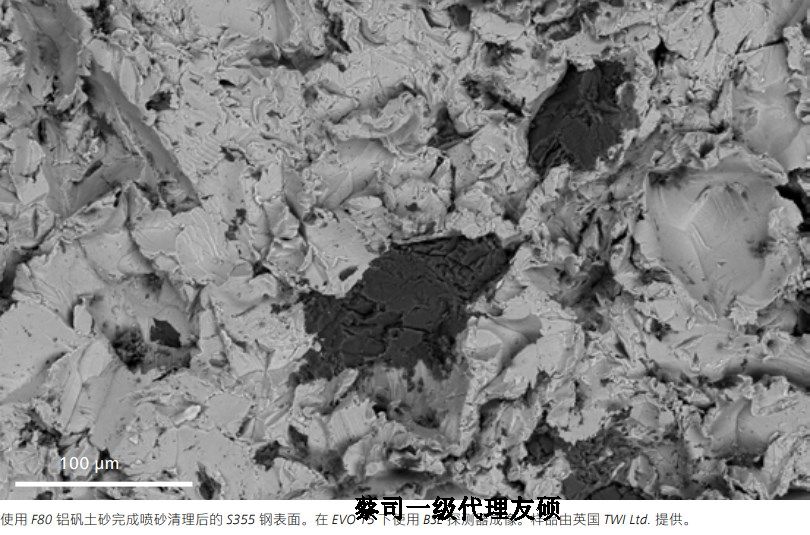 北屯蔡司北屯扫描电镜EVO