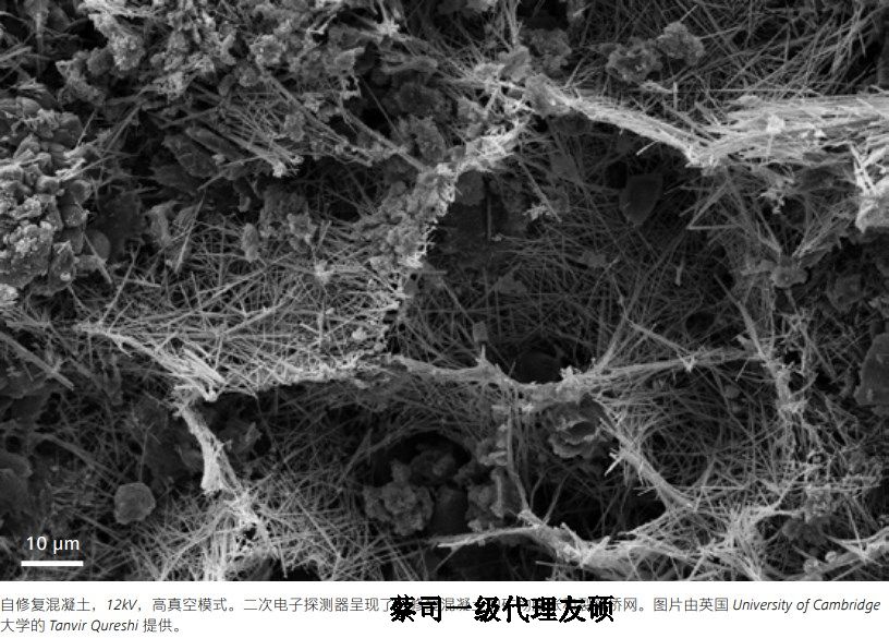 北屯蔡司北屯扫描电镜