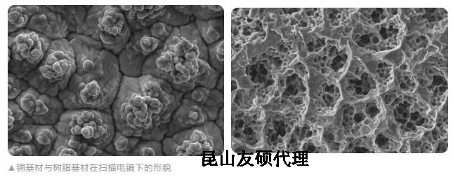 北屯蔡司北屯扫描电镜