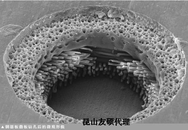 北屯蔡司北屯扫描电镜